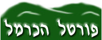 פורטל הכרמל