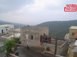 פתרונות מבוססי טבע