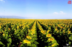 נקודות התייחסות מתוך פרשת בראשית