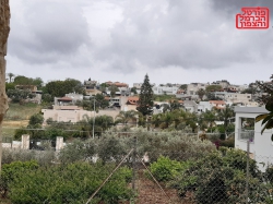 יותר זרים קונים אדמות בדליה ועוספיה