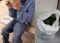 נעצר חשוד שגנב 45 ק