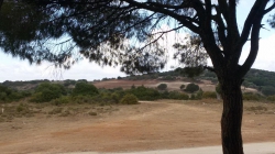 הוגש כתב אישום נגד שודדי הנשק מחייל הקומנדו