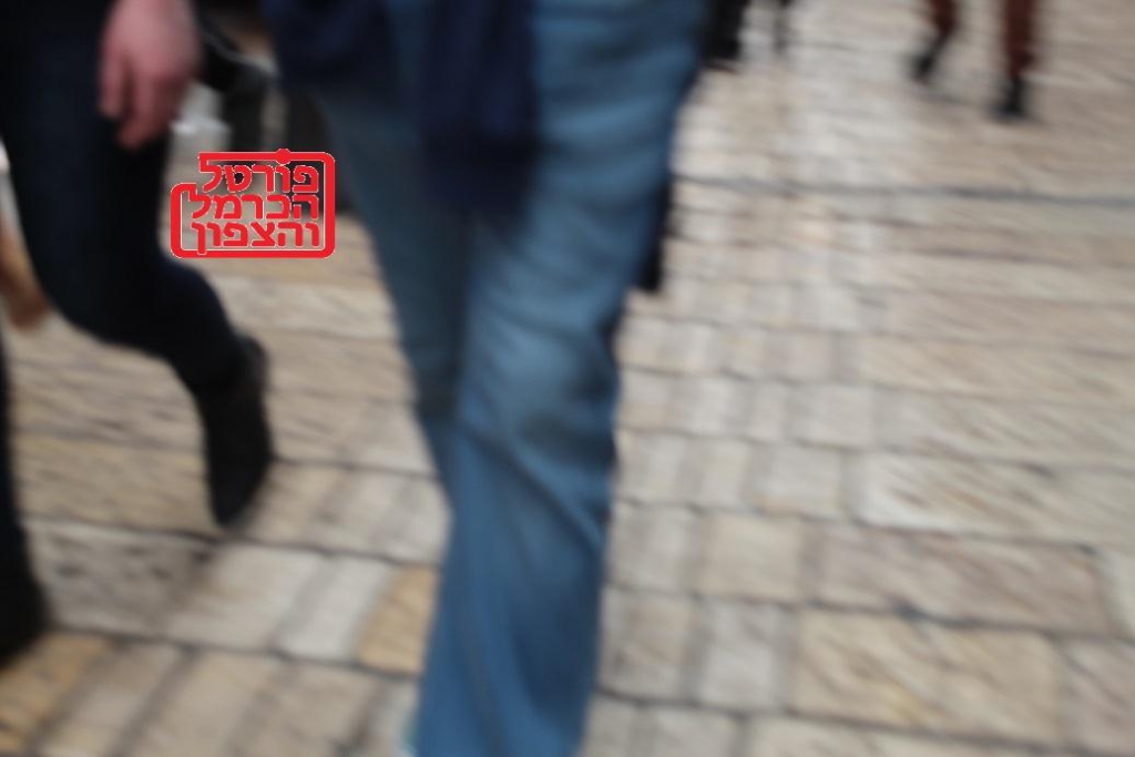 פורטל הכרמל