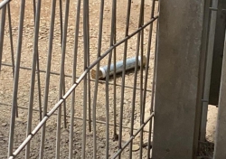 תושב ג'נין ניסה להחדיר מטען לבית המשפט הצבאי בסאלם