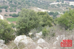 פצוע קשה מנפילה מסוס בחווה בכרמל