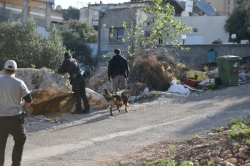 נשק תחמושת וסמים נתפסו בטמרה וכאבול