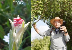 שותפות גורל