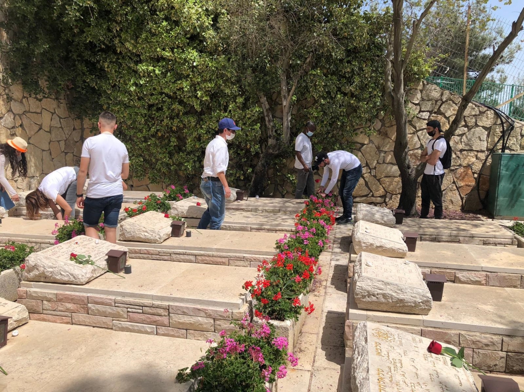 פורטל הכרמל