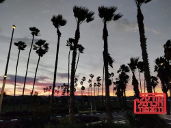 טייסת הרחפנים שתשמור על הטבע