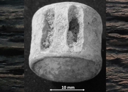 יהודים בתקופת הבית הראשון לא הקפידו על כשרות