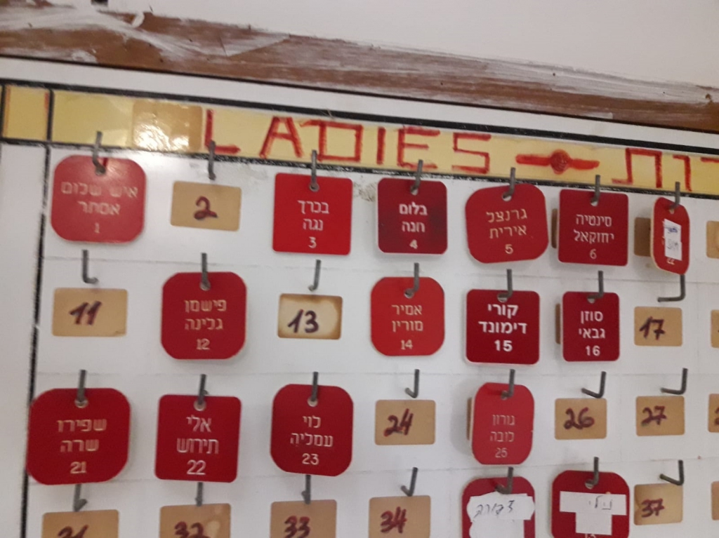 פורטל הכרמל