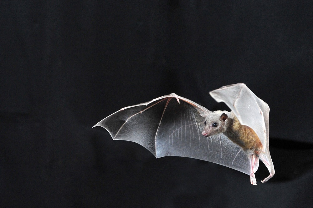 ככה מנווטים במרחבים