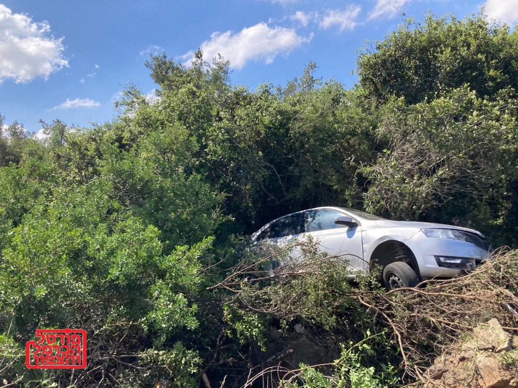 פורטל הכרמל