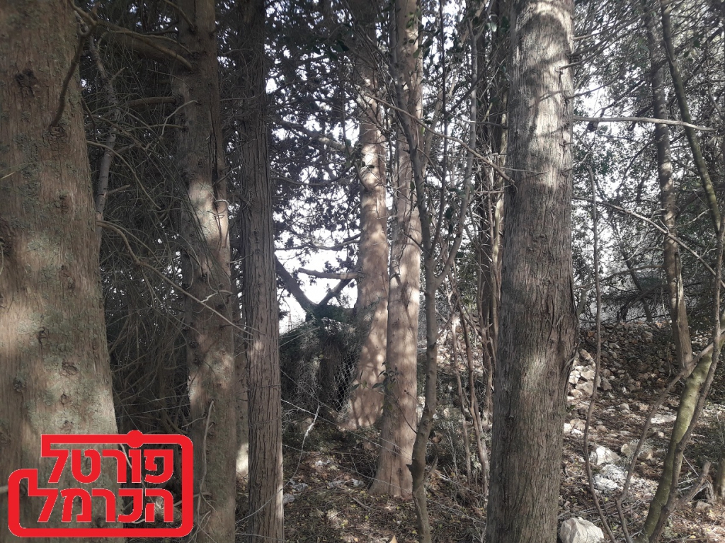 פשיטה על מתחמים בהם אוחסנו חומרים מסוכנים שסיכנו את התושבים והסביבה