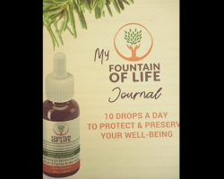 מעיין החיים