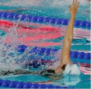 פורטל הכרמל