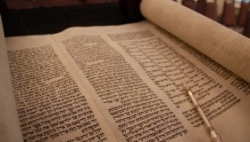  פרשת השבוע נח