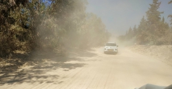 זורים כורכר בעיניים