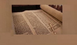 נקודות התייחסות מפרשת השבוע פרשת שופטים