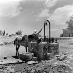 אתר מוחרקה בשנת 1930