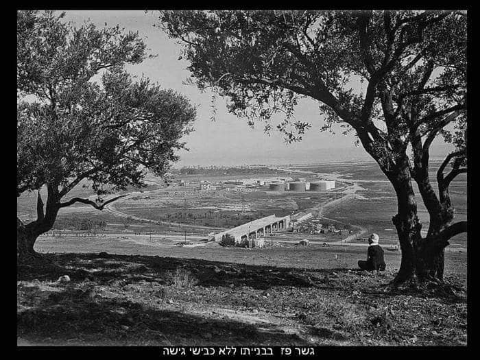 פורטל הכרמל
