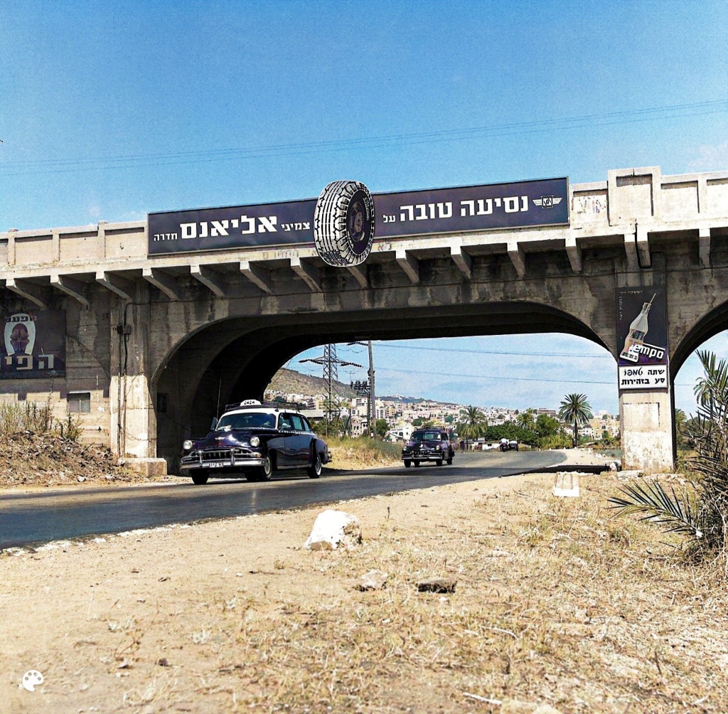 פורטל הכרמל