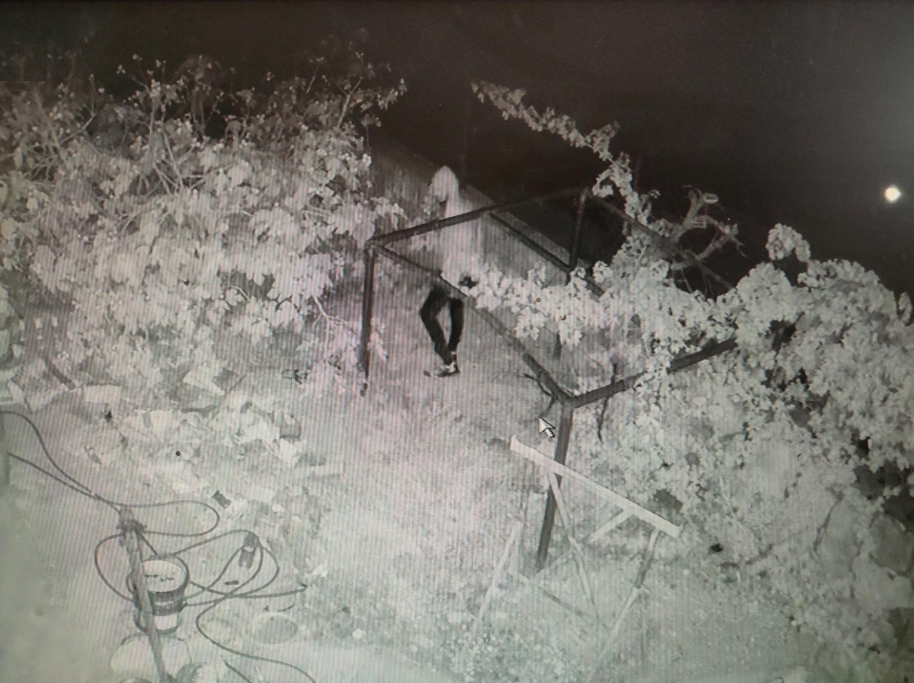 פורטל הכרמל