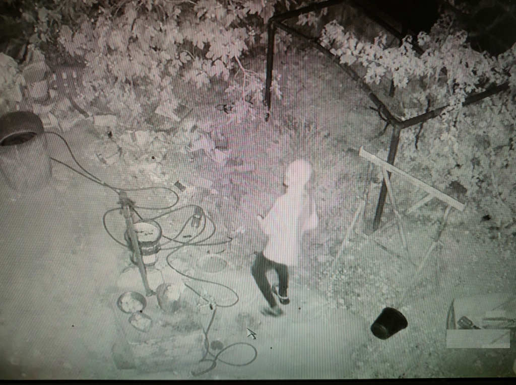 פורטל הכרמל