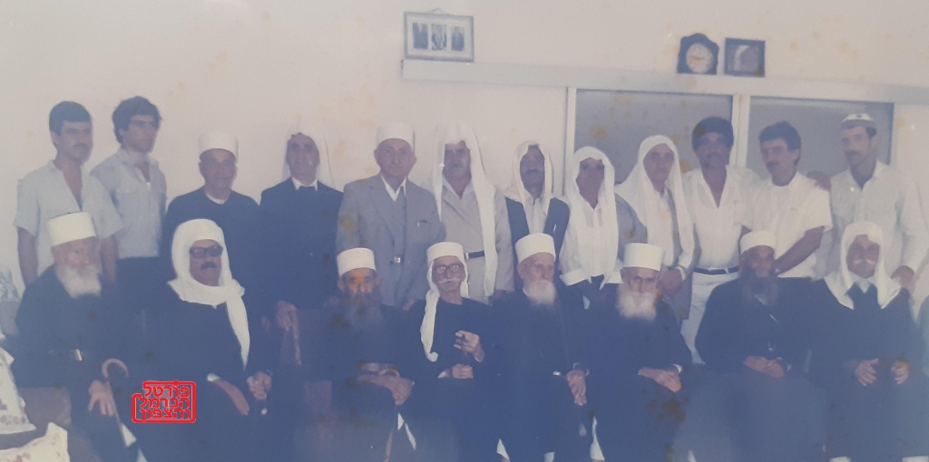 הפלגים במשפחת חלבי 