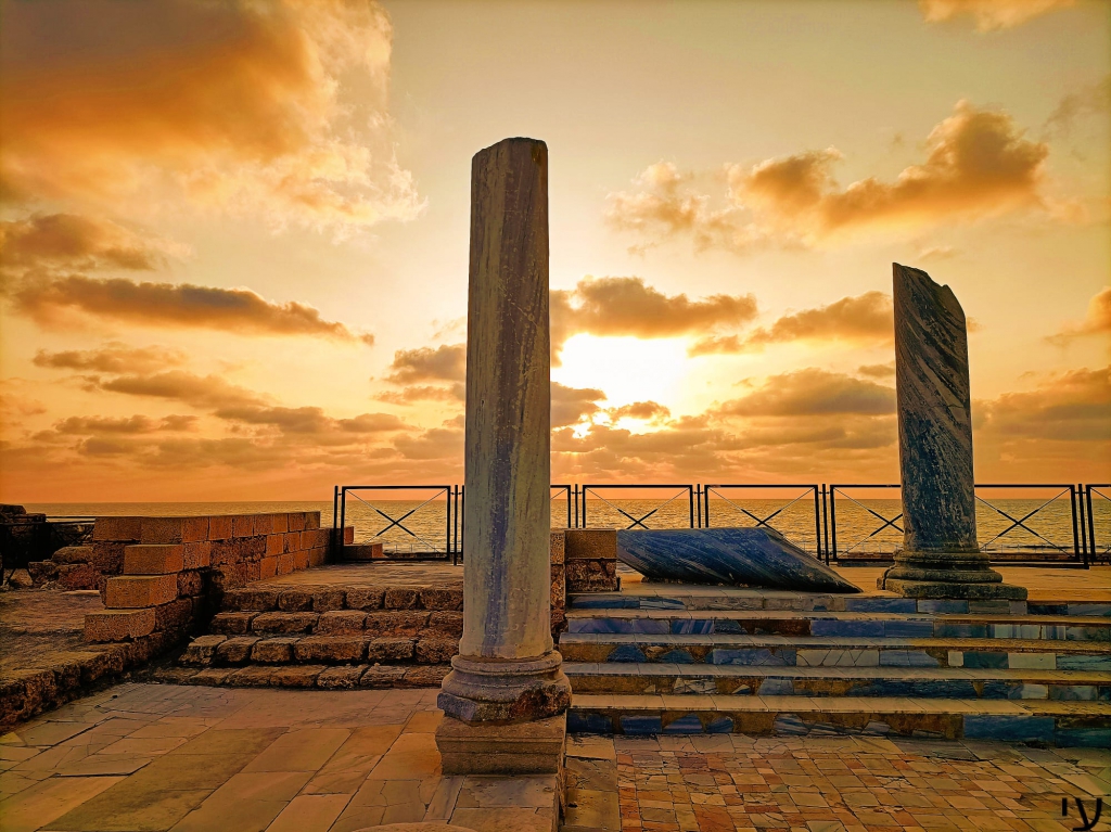 פורטל הכרמל