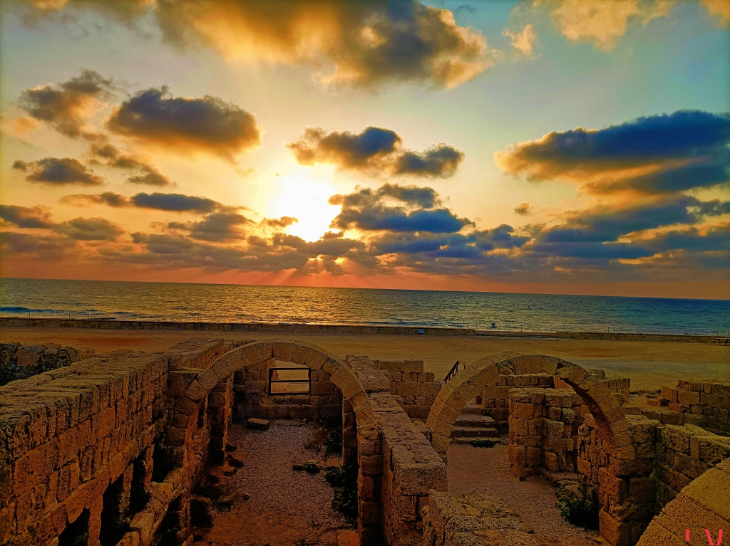 פורטל הכרמל