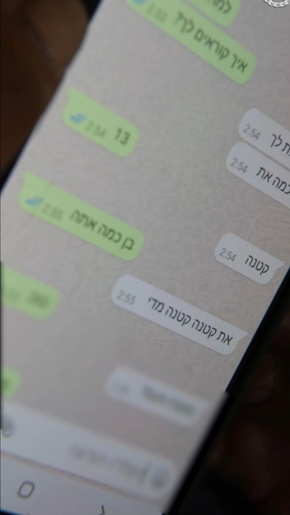 פורטל הכרמל