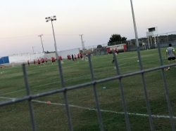 הפועל דאלית אל כרמל פותחת את העונה בשבת