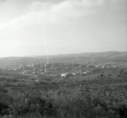שנות ה - 1955 שכונה בדליה