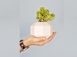 לא רק גיפט קארד