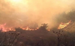 בהתקפה על בסיס T4 של חיל האוויר הסורי נהרגו ונפגעו חיילים