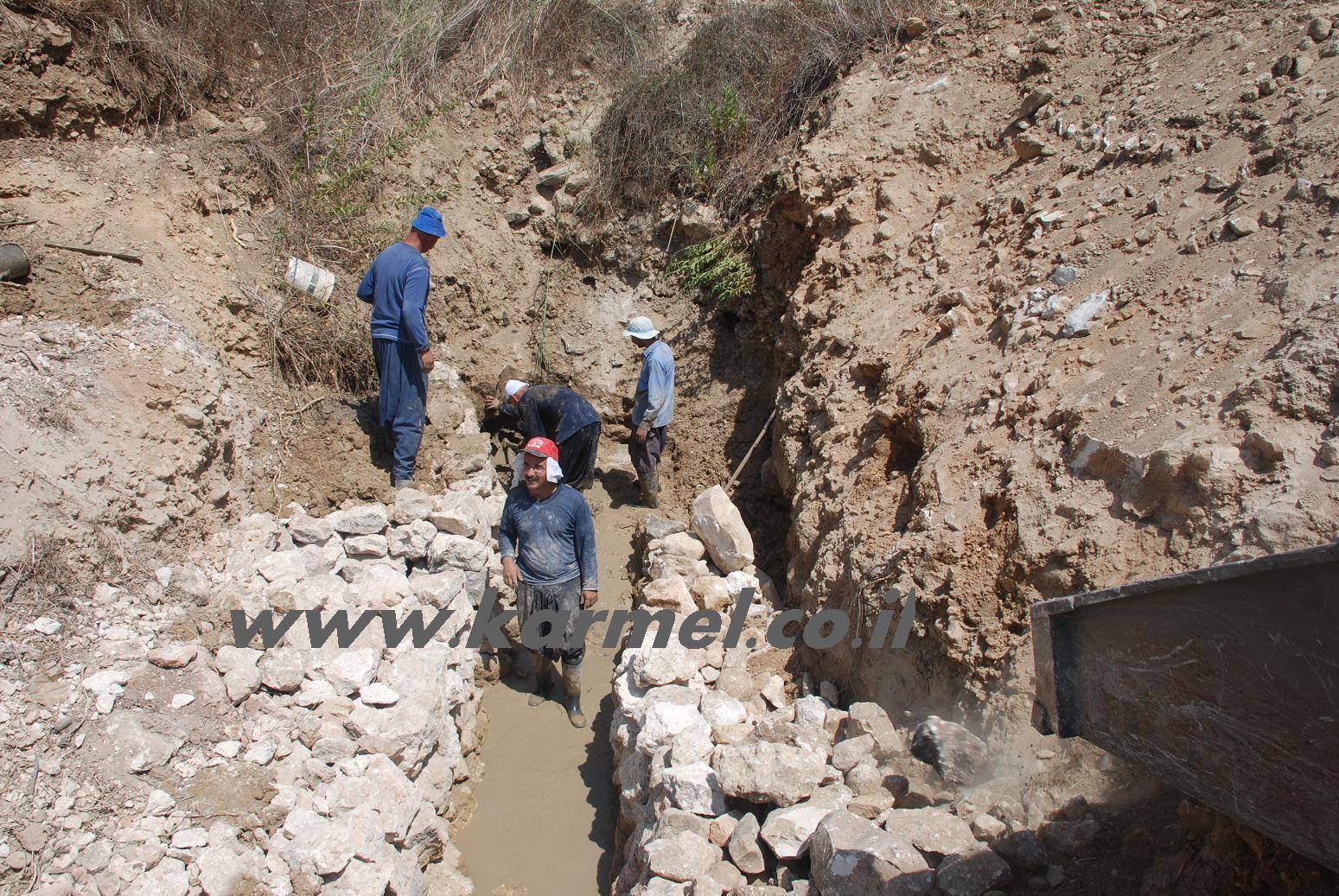 קארפול קריוקי מארח את פבלו רוזנברג