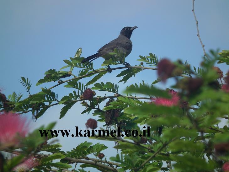 كشف الظلم التاريخي في كتاب