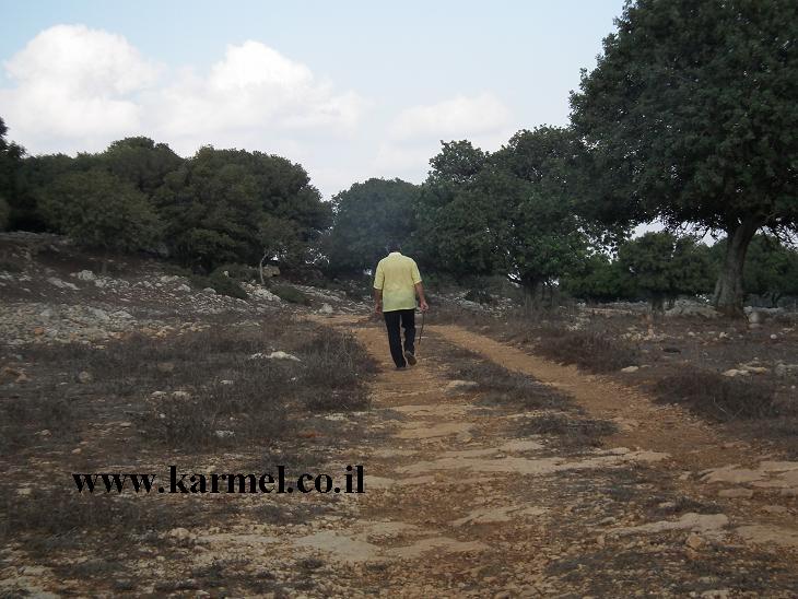 شَآمُ السّلام