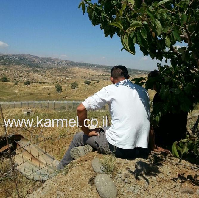 דאעש חיפש מין במלחמתו, סרטונים