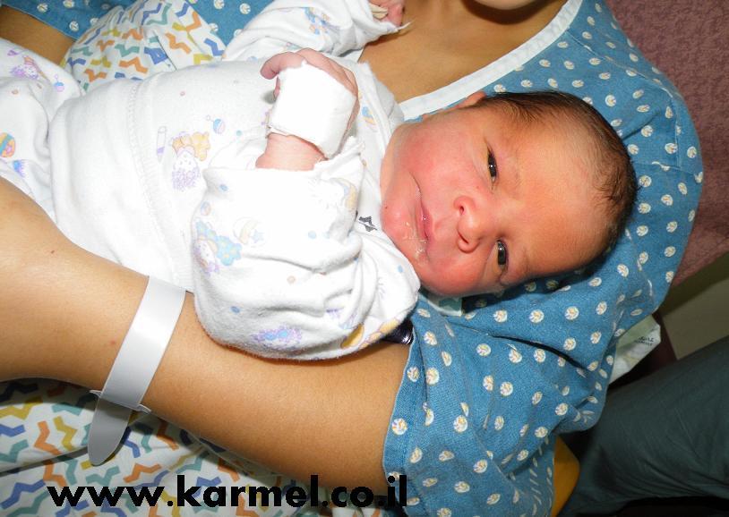 ألأمُّ مَدرسةٌ , نواف الحلبي