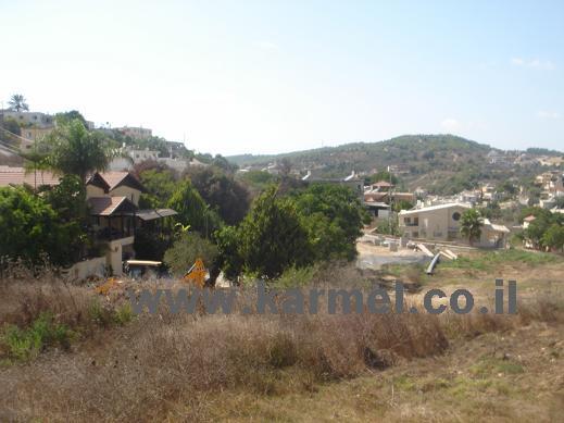 عرب نصفها غساسة ونصفها مناذرة