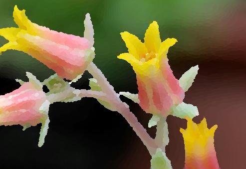 من دون أن تبكي نجوم السماء!