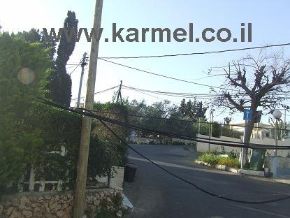 قالو في السابق..