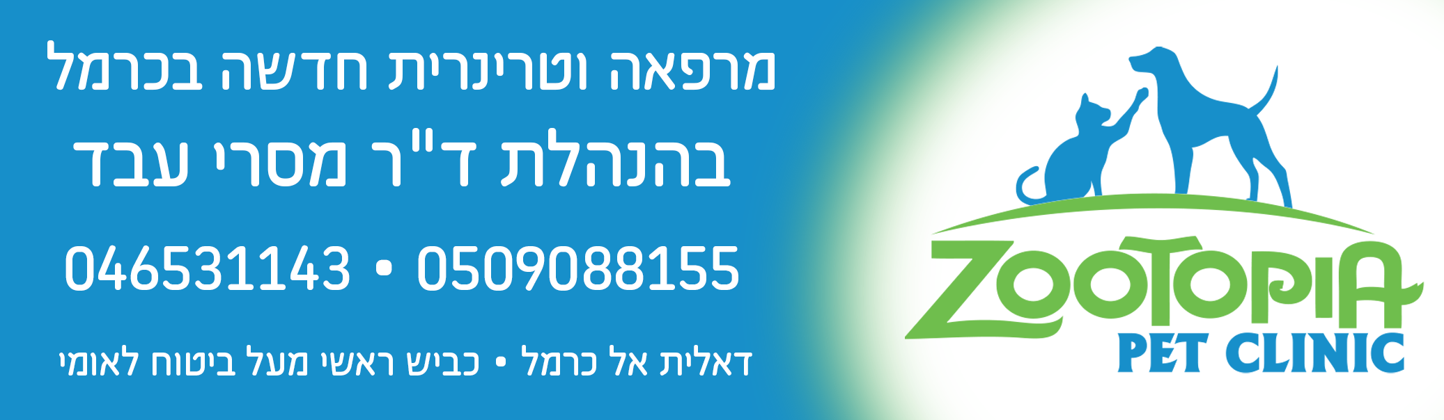 וט11