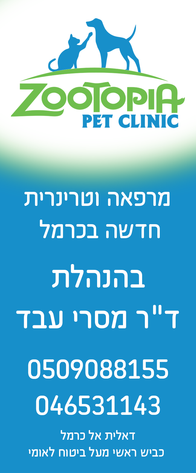 וט4