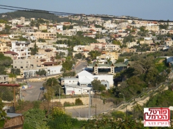 פשיעה משתוללת בדליה ועוספיה