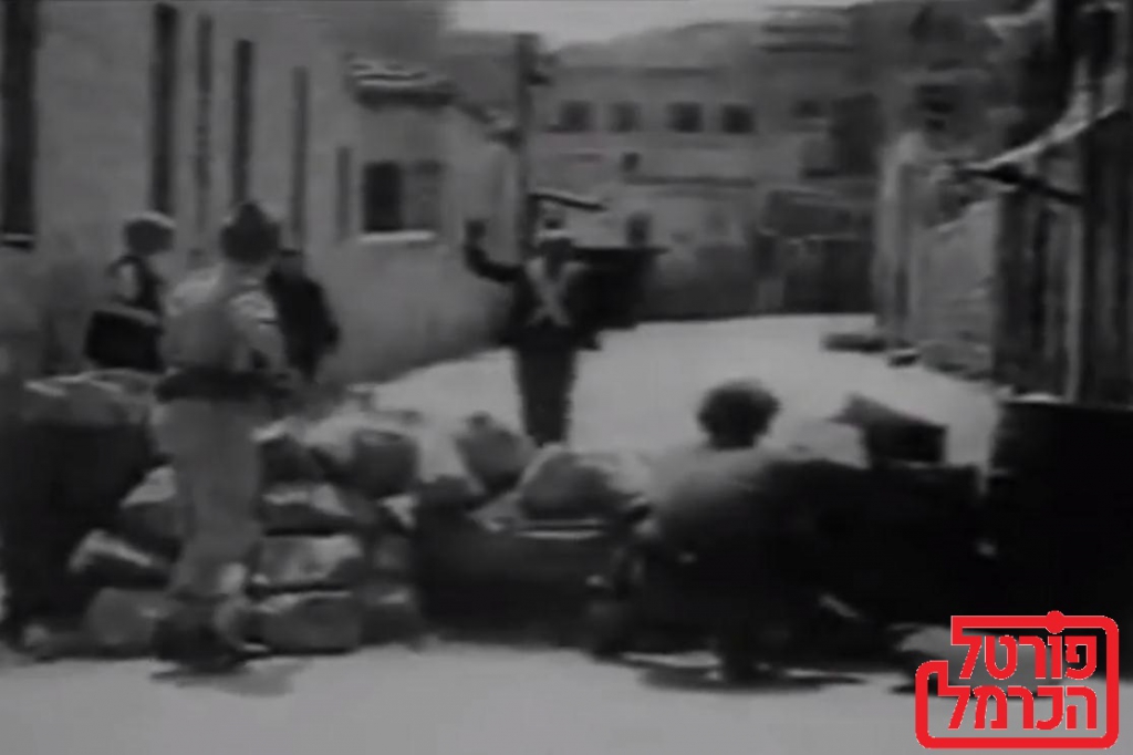 פורטל הכרמל