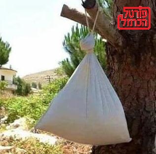 הכנת לבנה מלבן חלב