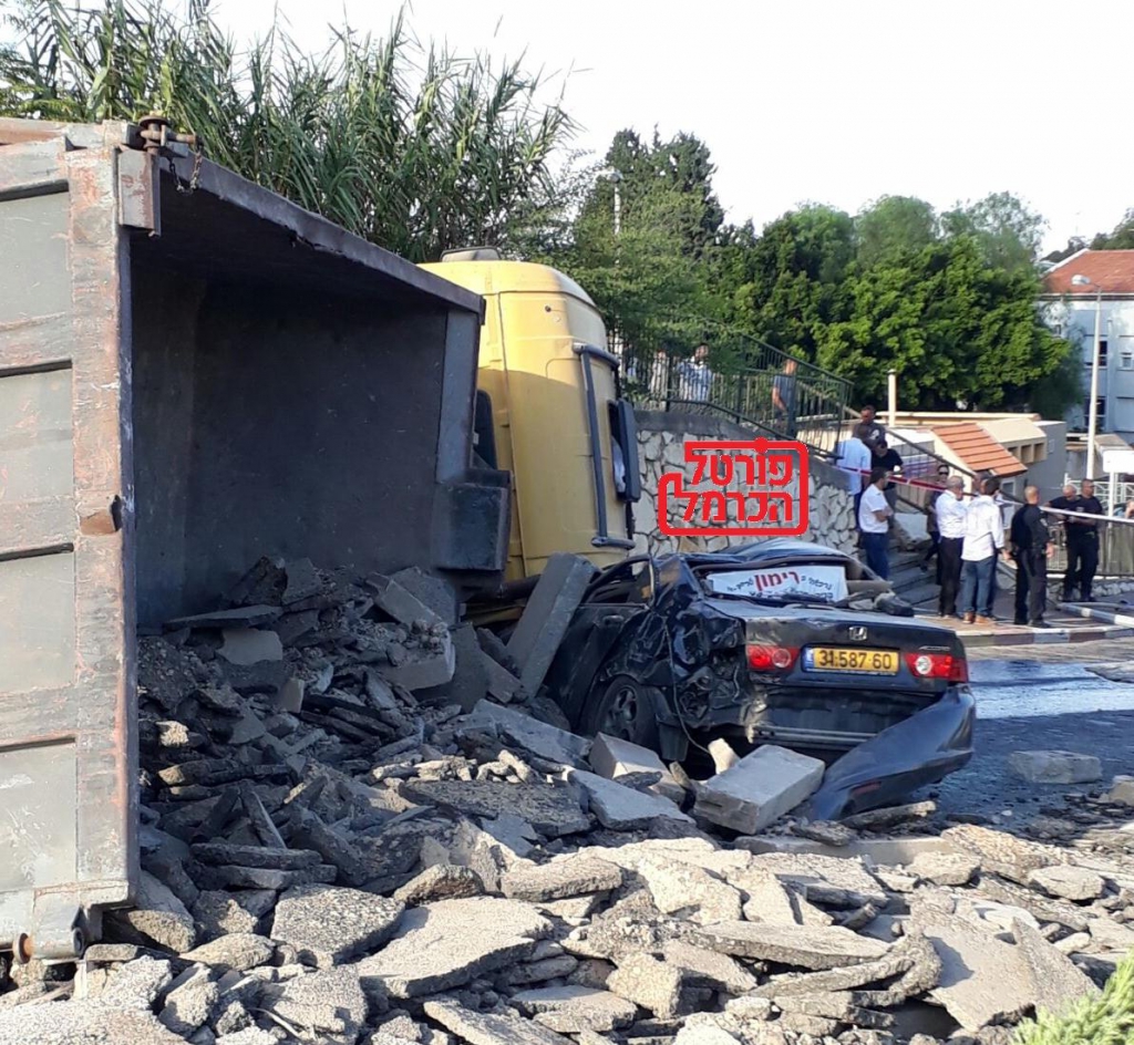 פורטל הכרמל